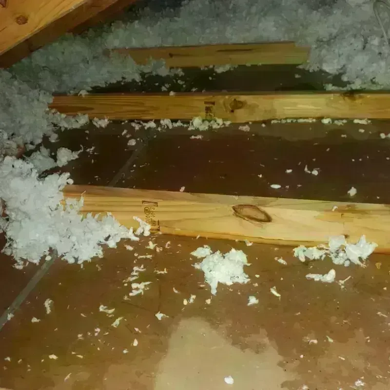 Attic Water Damage in Fruitport, MI