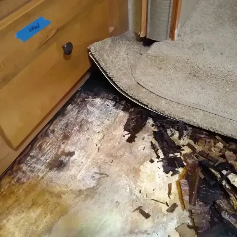 Wood Floor Water Damage in Fruitport, MI